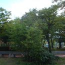 강변쉼터 이미지