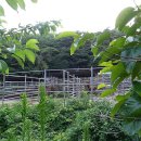 서당골농장 이미지