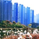 왕숙천 자전거도로13 | 🚴‍♂️ 왕숙천 구리–진접 광릉숲 자전거 라이딩의 추억 “벼락소 전설 이 흐르는 왕숙천을 따라, 가을...