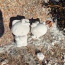 돌마로476번길 이미지