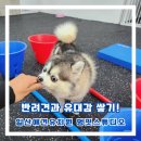멍 핏 스튜디오 이미지