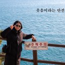 신정희 Daum카페