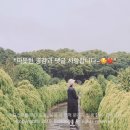 커튼명가창구리다산점