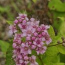 하오산 국가공인 행정사사무소 이미지