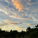 판포레스트 이미지