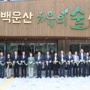 치유의 숲 이미지