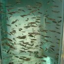 목화농원 이미지