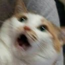 리부팅의원 이미지