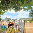 원당 작은 영어도서관 | 해운대 영어유치원- 센텀 폴리, 프랜시스파커, 에밀의 숲, 알티오라 설명회 후기, 가격, 장단점