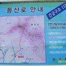 대룡산주유소 이미지