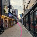 메기로 | 광명사거리맛집 메기이자카야 활랍스터 코스요리 즐겨본 후기