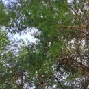 사계절계곡수체험장 이미지