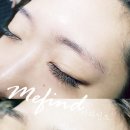 미파인드