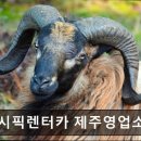 퍼시픽렌터카제주영업소