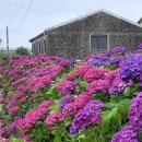 안성리-2 이미지