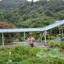 진상초등학교 이미지