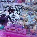 한방뽑기방 이미지