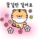 도그원 이미지