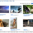 사진연구소 이미지