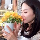 세탁전문점향기 이미지