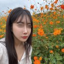 범계역 | 범계역 피부과 안양 울쎄라 리프팅 후기