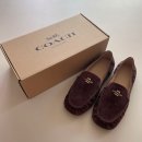 코치 | 여자 로퍼 추천 편안한 COACH 코치 로퍼 후기 (사이즈,가격)