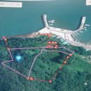 금강송행정사사무소 이미지