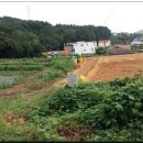 시골산장 - 순천시 | 시골산장
