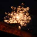 연포 해맞이 이미지