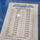 애월삼춘민박 | 혼자 뚜벅이 제주여행 3일차 _ 귤귤스토어 해녀미피 키링, 제주스시호타루, 푸린 한라봉푸딩, 콜린 홍시...