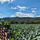 강동어르신행복센터 이미지