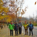 제50차(11월8일) 산행후기 이미지