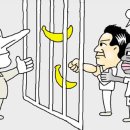 인종농장 이미지