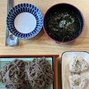 남원소바 - 남원시 시청남로 10 | 서귀포 콩국수맛집 찾는다면 남원소바! 판소바 특이랑 참치마요주먹밥까지 먹고 온 후기