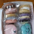 마카롱판다 이미지