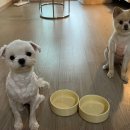 나무까까 이미지