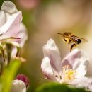 온율한의원 이미지