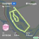 안산명소 안산갈대습지 가을 바람 솔솔