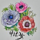 아네모네(Anemone) 이미지