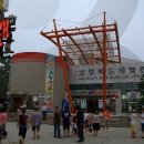 머드체험관 Daum카페