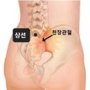 연수모임 중 임상 나눔ㅡ감기(대추혈) 자궁내 이상(차료혈 구두침) 이미지