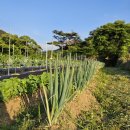 노적봉농장 이미지