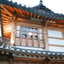 미카사(MICASA) 네이버블로그