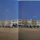 연일 초등학교 병설유치원 이미지