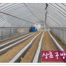 사월농장 이미지