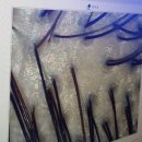 중구건강지원센터 화장실 | 대구 두피관리 "웰킨 두피탈모센터 대구동성점" 솔직한 후기(+무료 AI 두피진단 사이트)