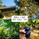 도림사계곡 | 광주 근교 계곡 전남 물놀이 계곡 추천 곡성 도림사 계곡 주말방문 솔직후기