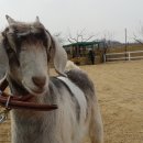 미사리 승마공원 이미지