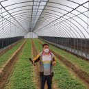 광식농장 이미지