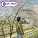 화정도서관 꽃뜰 | 하남 벚꽃길 당정뜰 조정경기장 산책코스 포토존